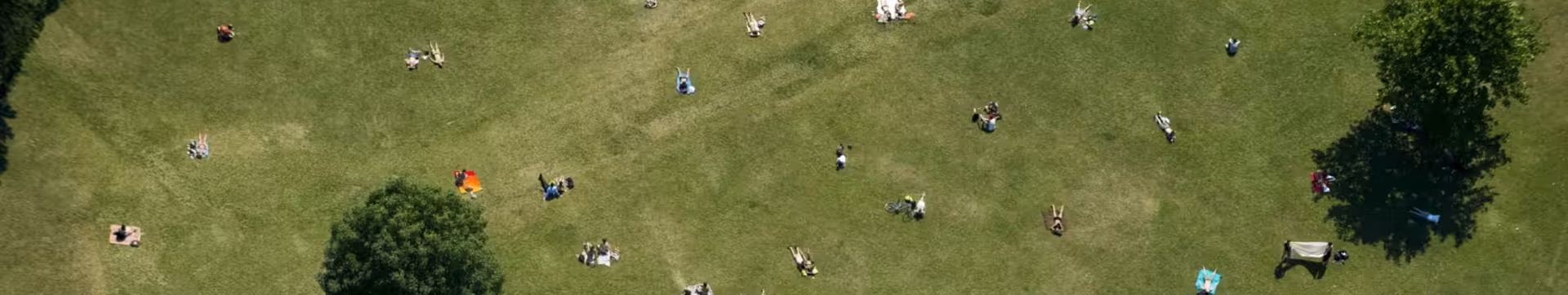 Conosci il nostro Management 
